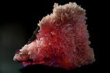 Pink Manganoan Calcite Crystal Cluster - Fluorescent! #361515-1